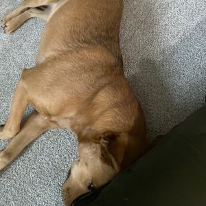 Meet your Posher, Noah